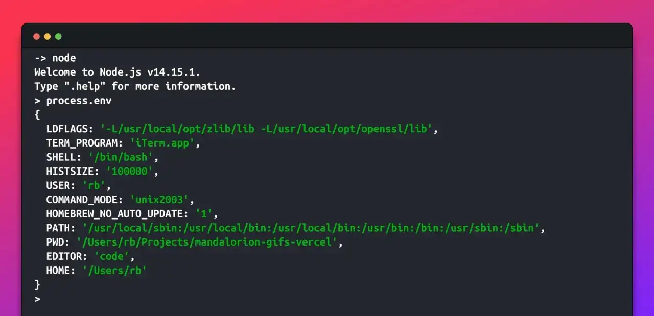 Terminal affichant les variables d'environnement de Node.js, incluant `process.env`, dans un environnement de développement.